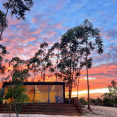 Scherm­afbeelding 2025-04-21 om 15.09.49