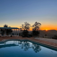 Scherm­afbeelding 2025-04-21 om 15.13.00