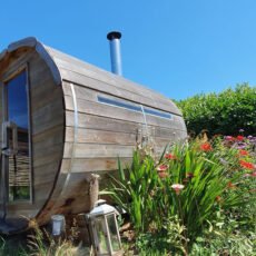 image (12)