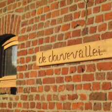 image (6)